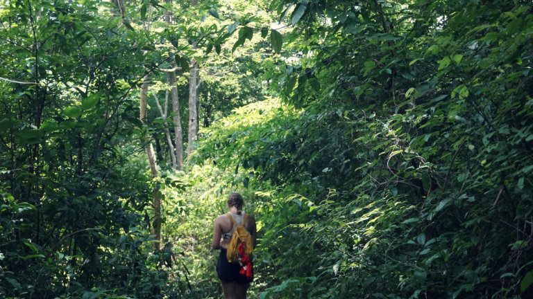 girl hiking through green woods